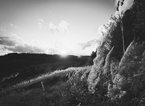 Šviesos pakraštyje / On the edge of light