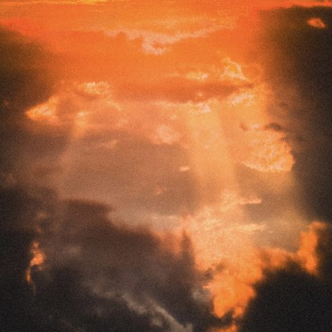 Paveikslas / Picture