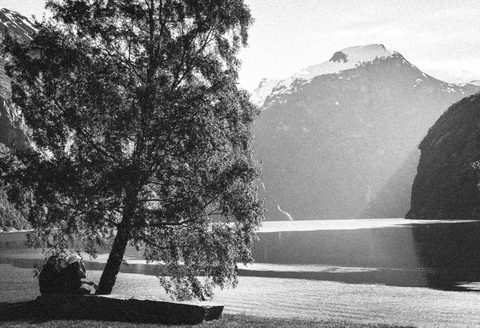 Drauge po medžiu / together under the tree