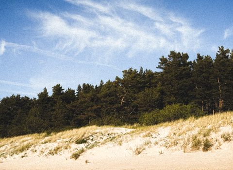 Paplūdimyje / In the beach