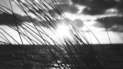 Susitiksime ten / We will meet there