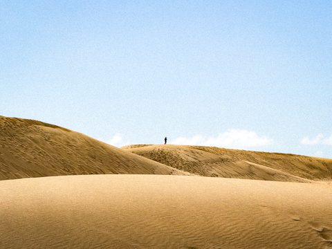 Prerijų sielos / Soul of prairie