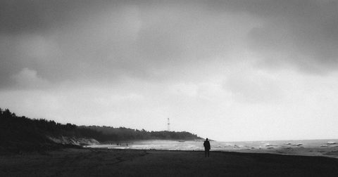 Tyliai stebint / Silently watching