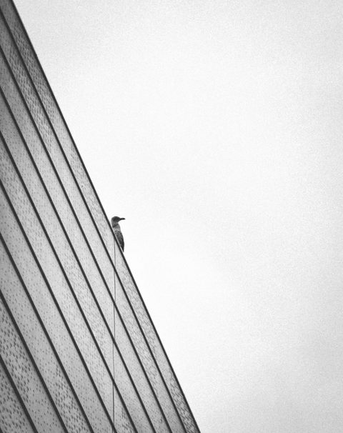 Greitkelyje / On a highway